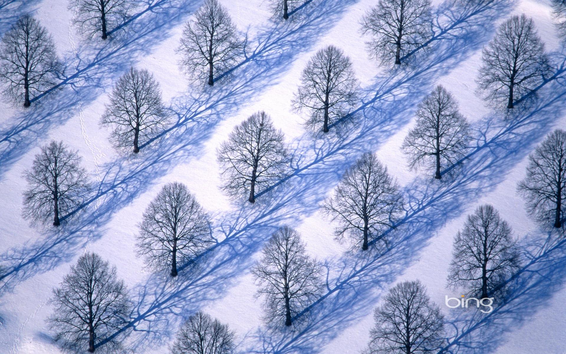 Free Microsoft Wallpaper Winter - WallpaperSafari