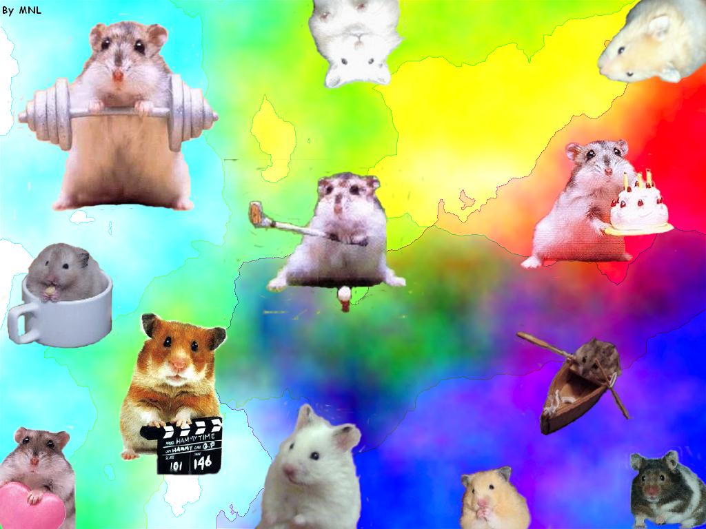 Hamster x free