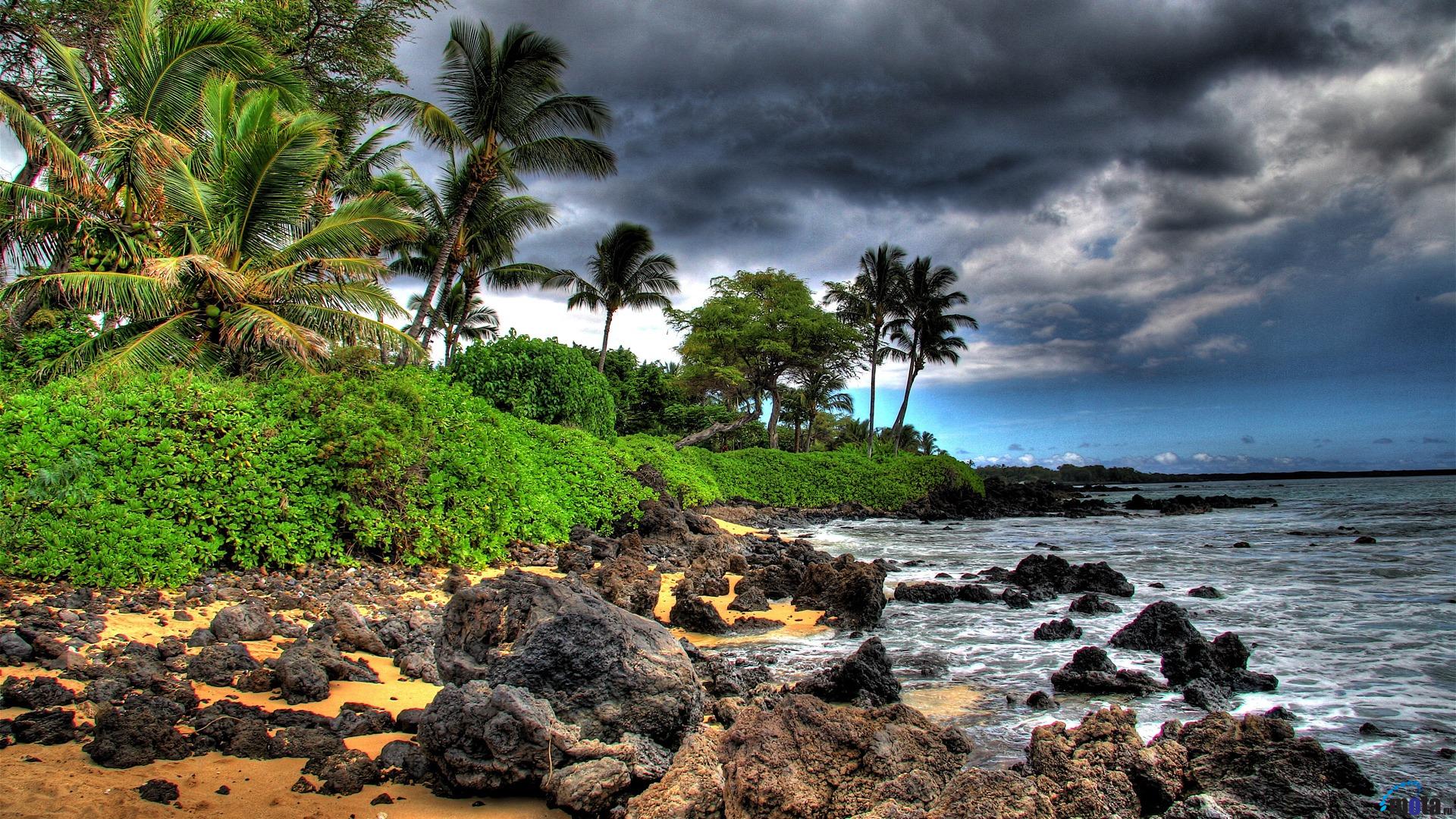 Maui Hawaii Desktop Wallpaper Wallpapersafari