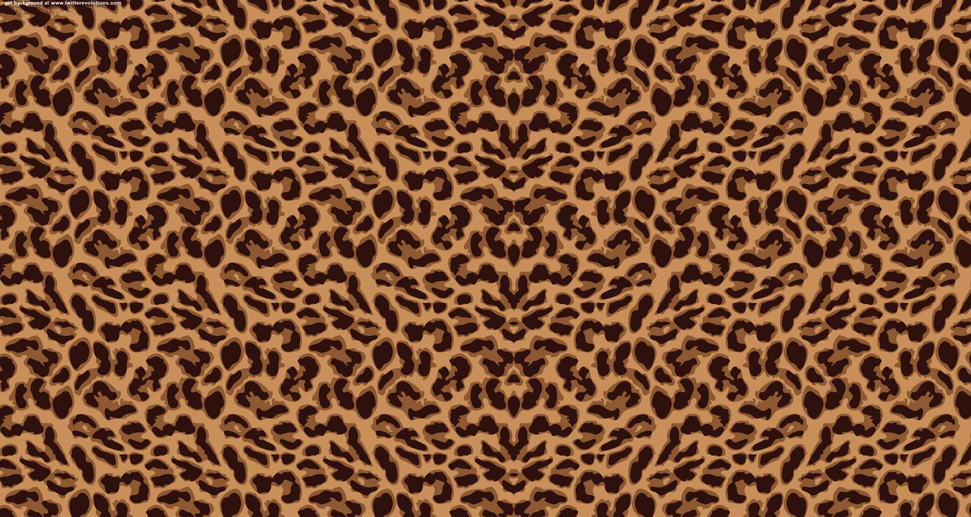 Cheetah Background Images - WallpaperSafari