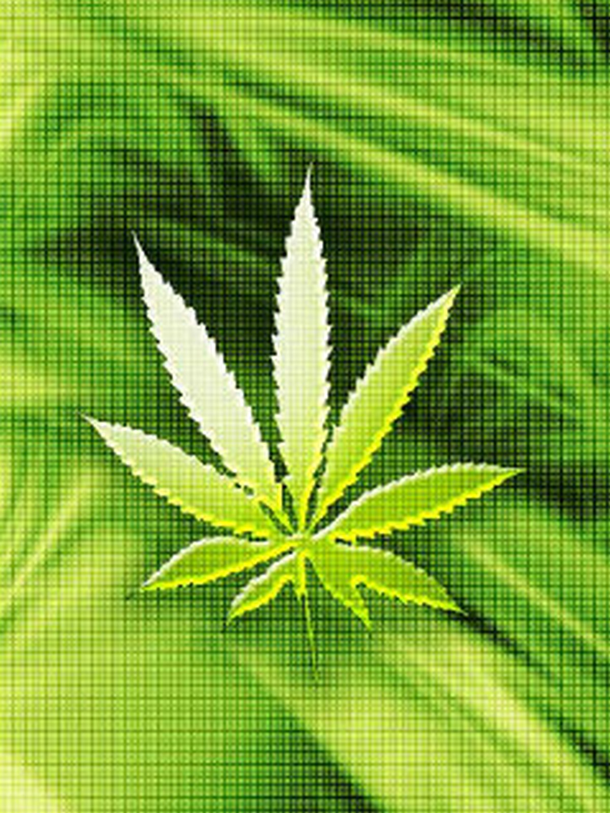 Marijuana Wallpapers HD - WallpaperSafari