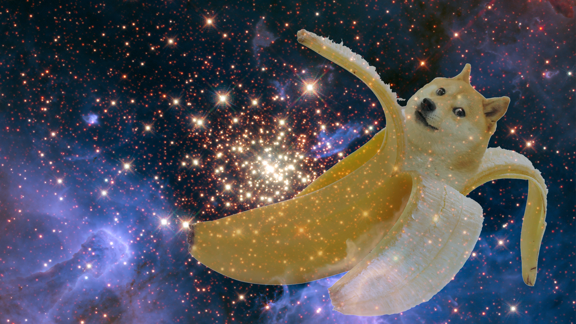 Doge Space Wallpaper - WallpaperSafari