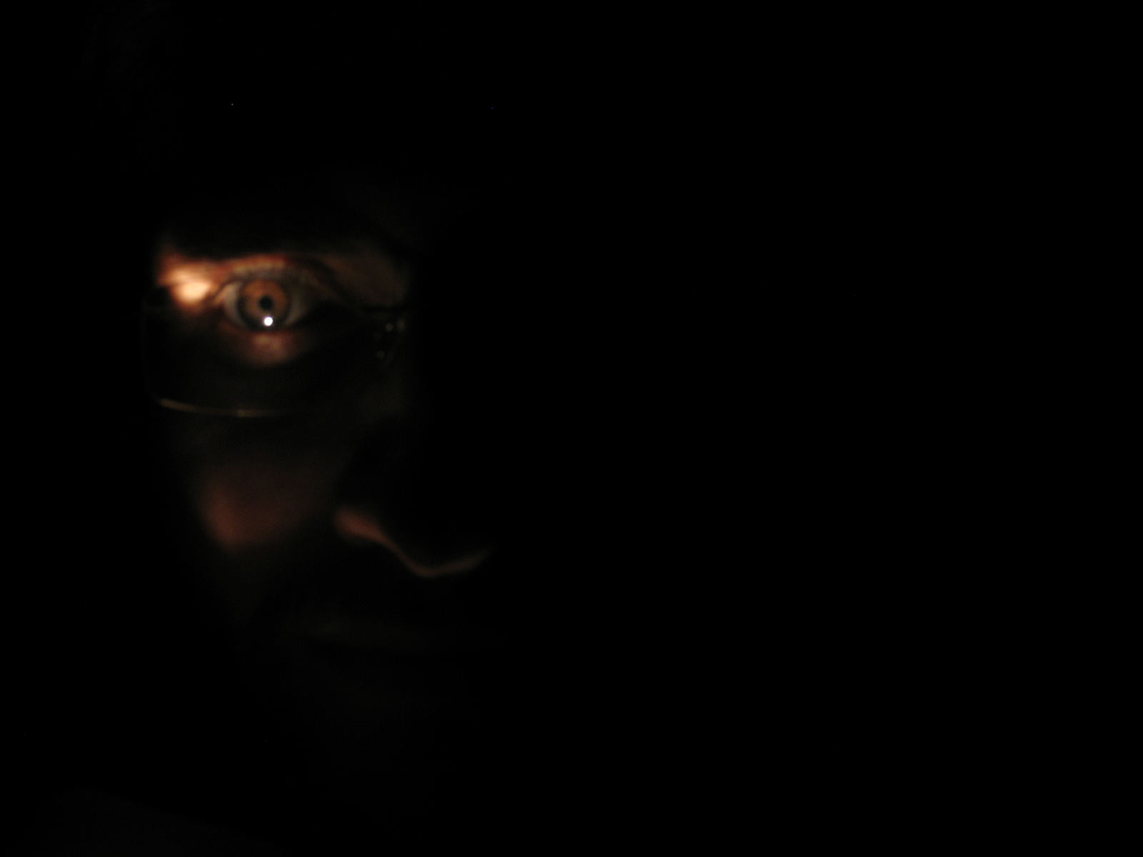 ebook Innovationspfade: Evolution und Institutionalisierung komplexer Technologie