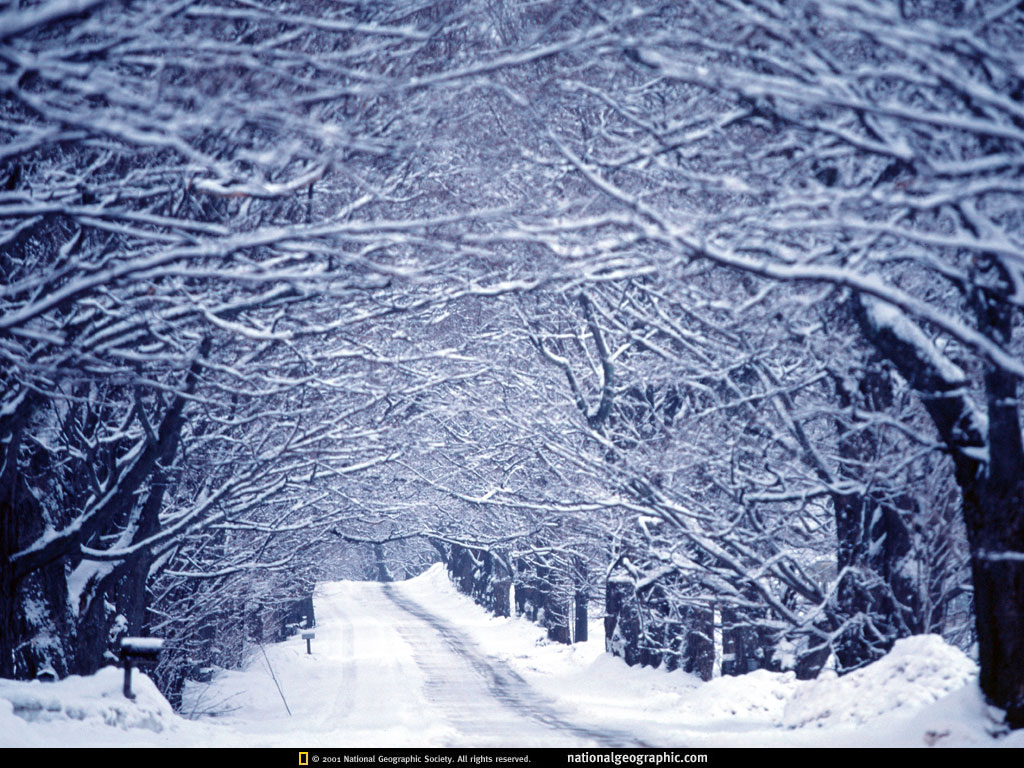 National Geographic Wallpaper Winter Scenes - WallpaperSafari