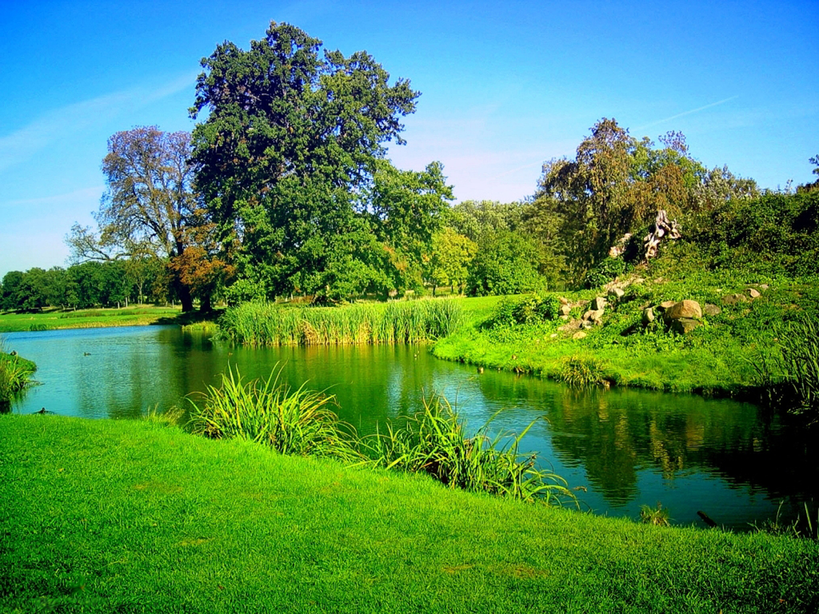 HD Wallpapers Of Nature Beauty WallpaperSafari