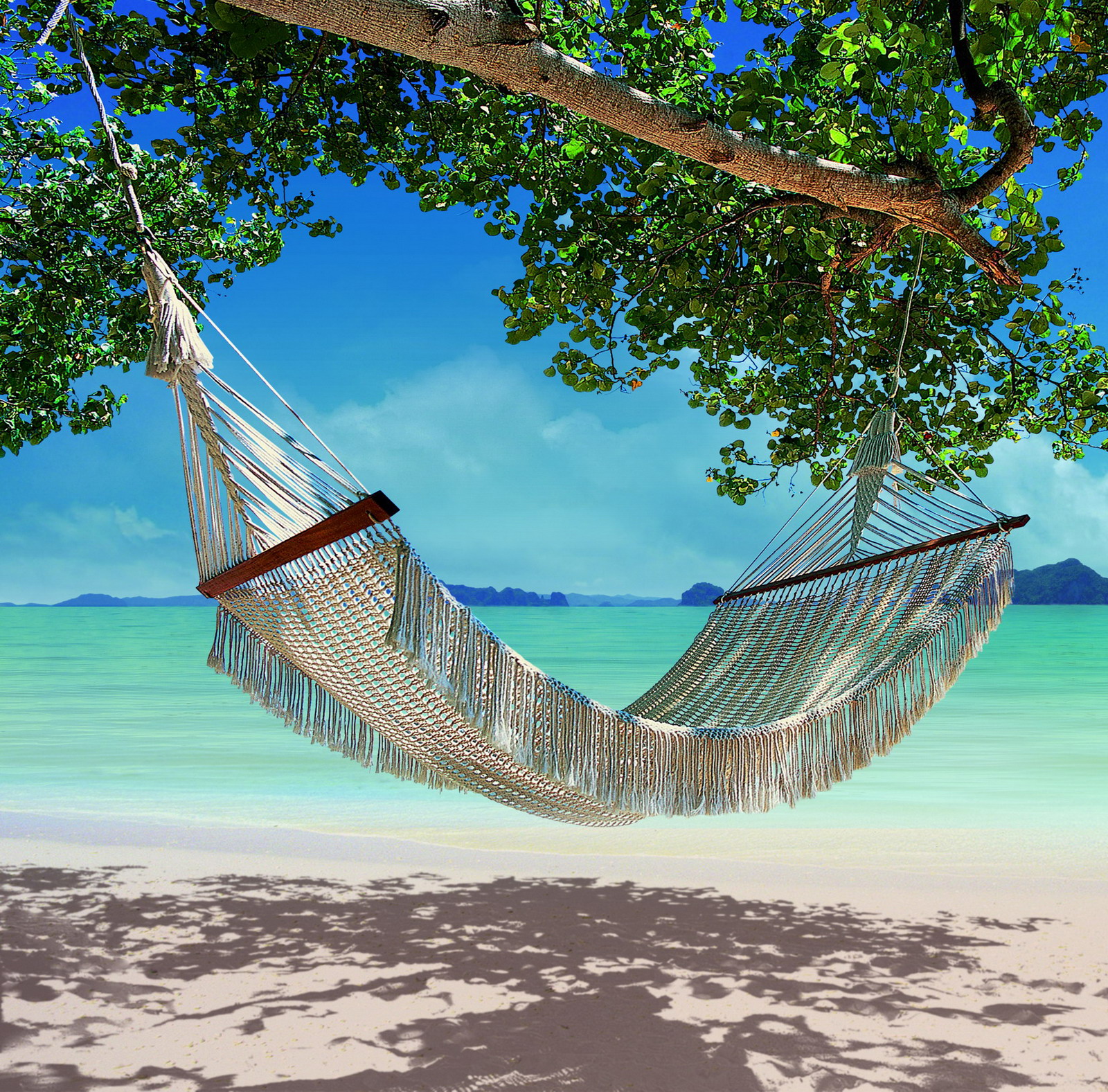List 94+ Images picture of a hammock on a beach Full HD, 2k, 4k