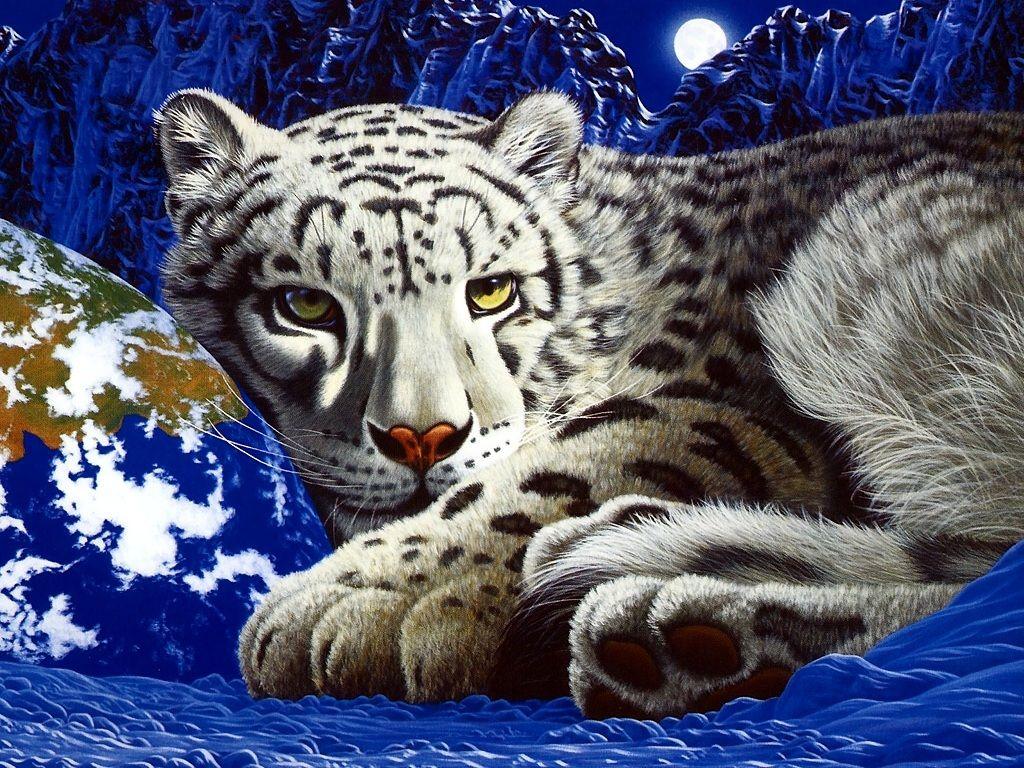 3D Tiger Wallpaper - WallpaperSafari