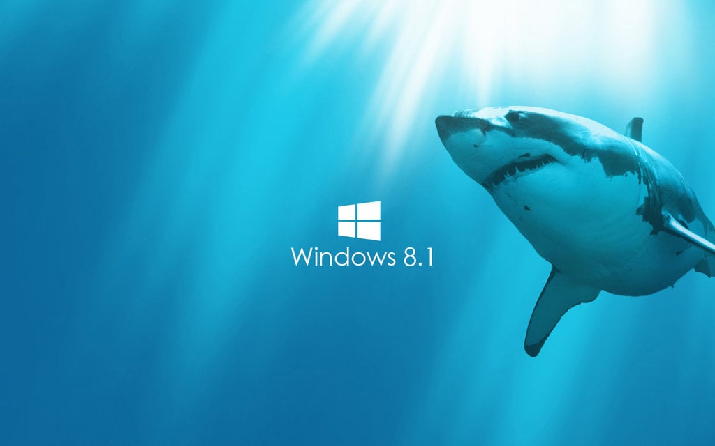 Shark Live Wallpaper Windows 8 - WallpaperSafari