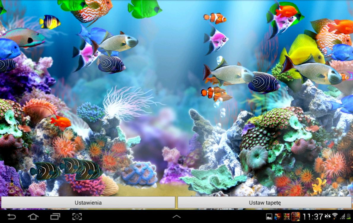 Windows Screensavers - Free 3D Aquarium Screensaver Download