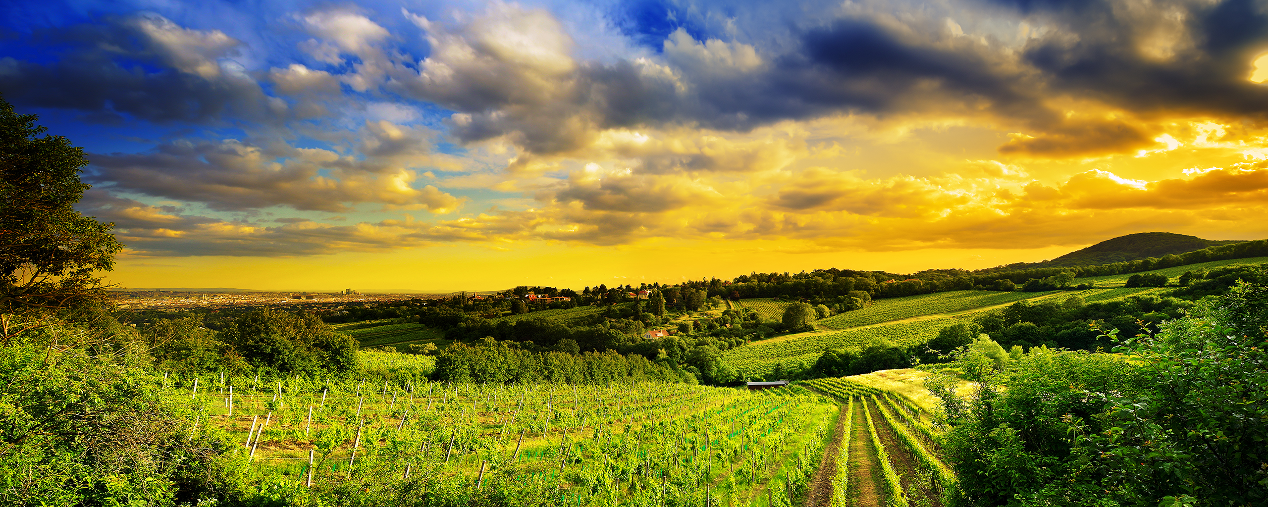 16K Resolution Wallpaper WallpaperSafari