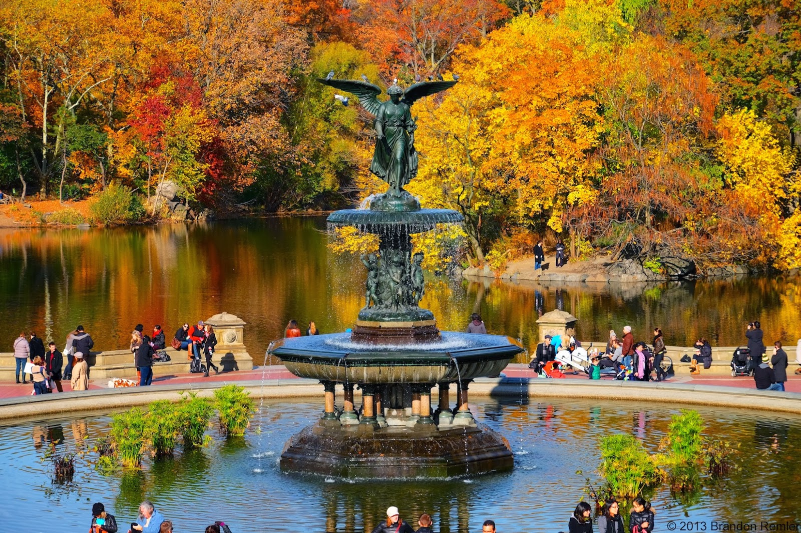 Central Park Fall Wallpaper WallpaperSafari