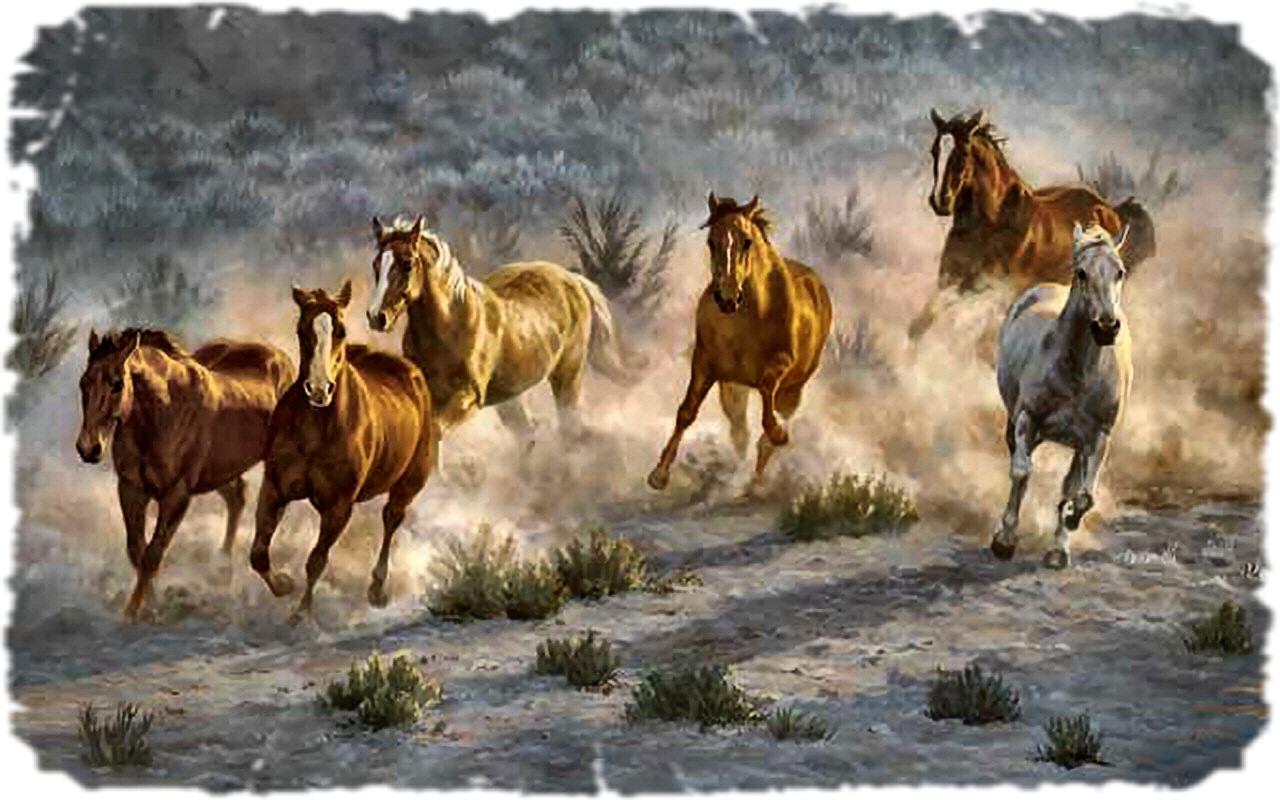 Wild Paint Horse Wallpaper