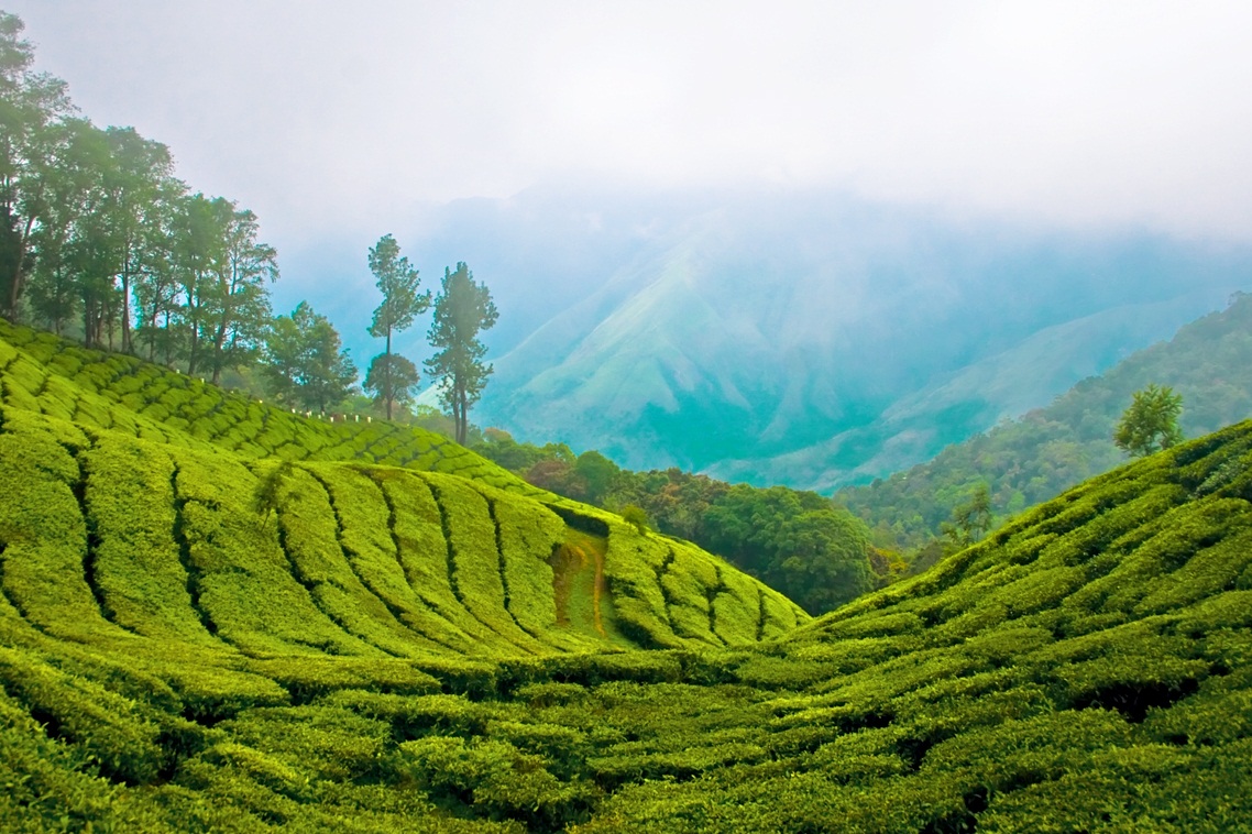 kerala-hd-wallpapers-wallpapersafari