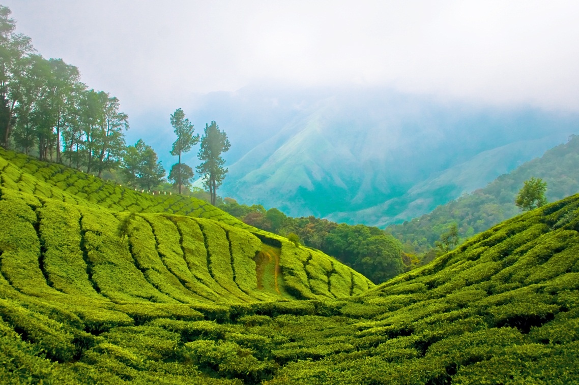 Kerala HD Wallpapers WallpaperSafari
