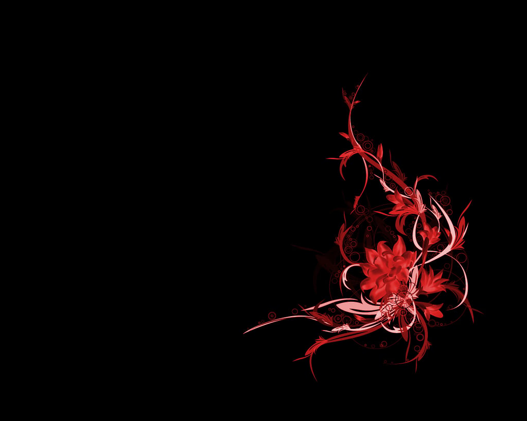 Red Flower Black Background - WallpaperSafari