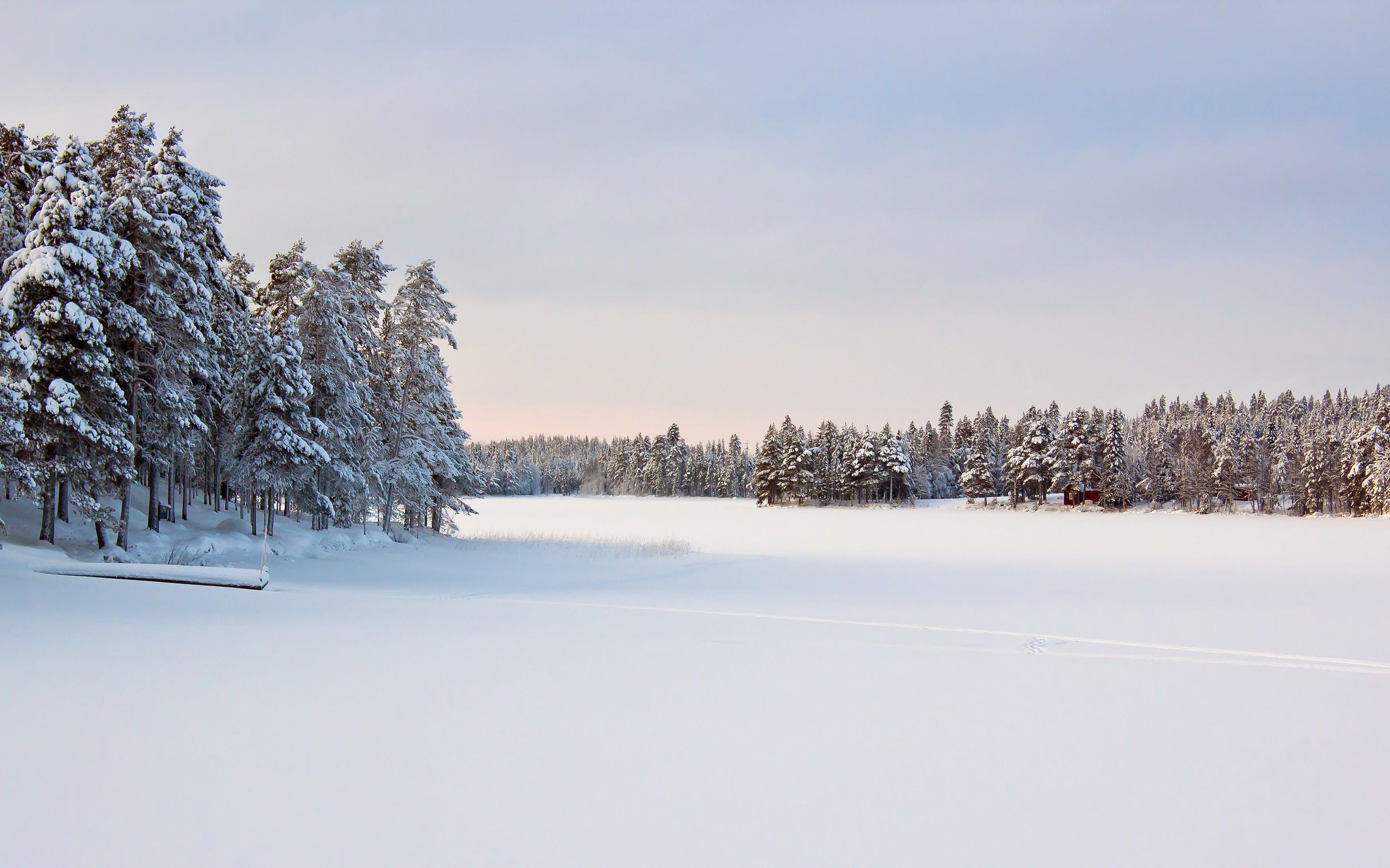 Snowy Fields Wallpaper - WallpaperSafari