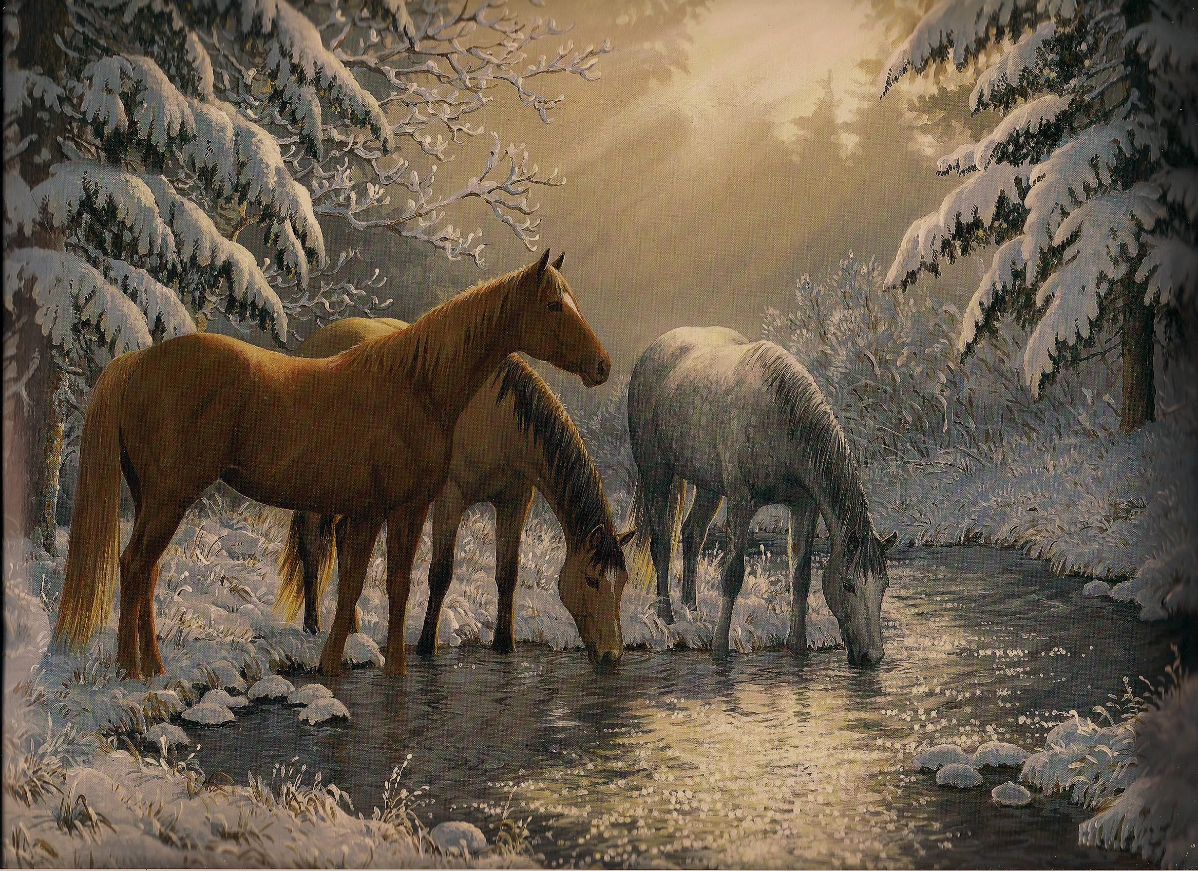 Winter Animal Scenes Wallpaper - WallpaperSafari