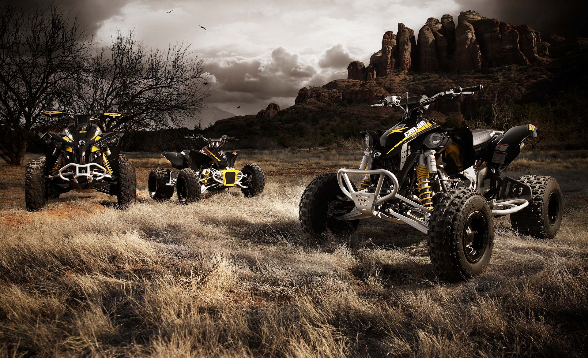 Quad HD Wallpaper - WallpaperSafari