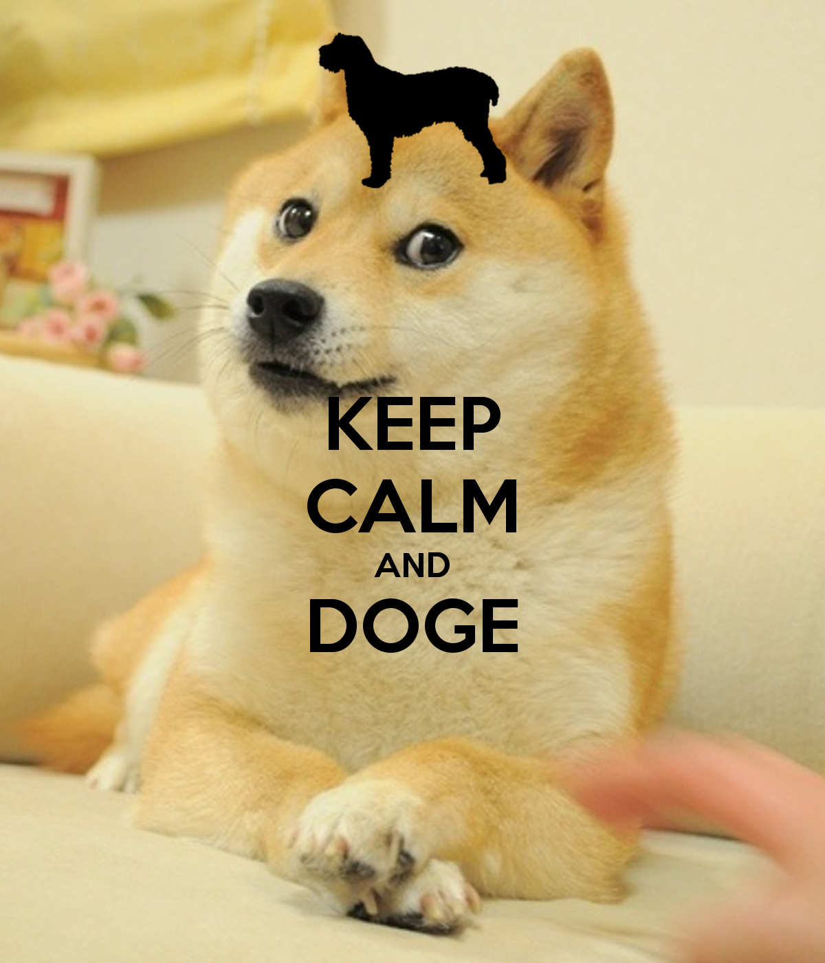 Doge Meme Wallpaper WallpaperSafari