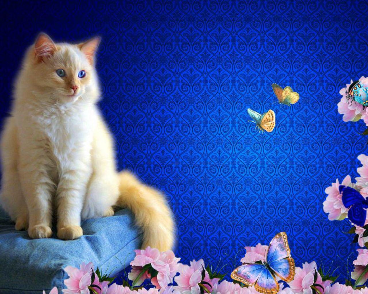 Cat and Butterfly Wallpaper - WallpaperSafari