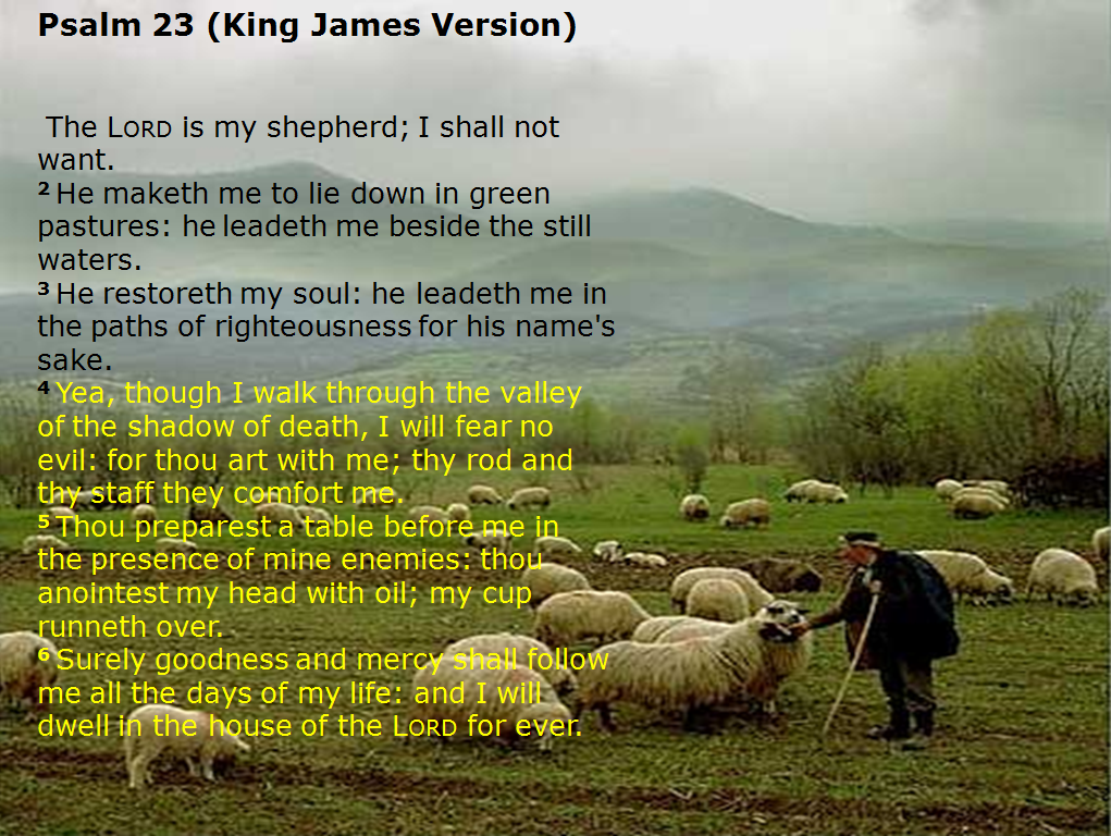 What is Psalm 23 of the King James Bible about?