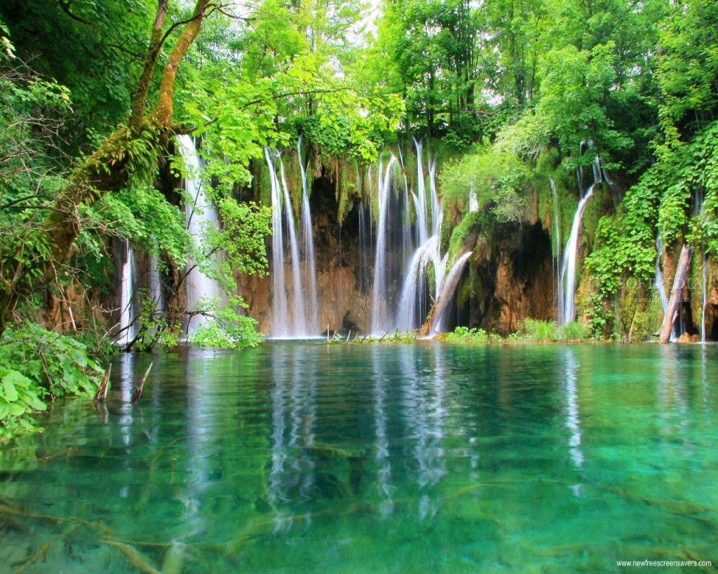 Wonderful Tropical Waterfall Dream Screensavers