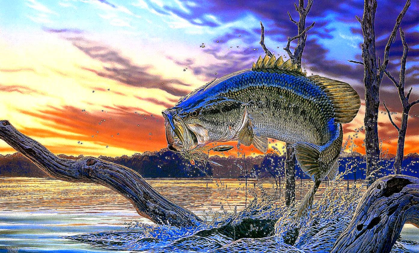 Bass Fishing Wallpaper HD - WallpaperSafari