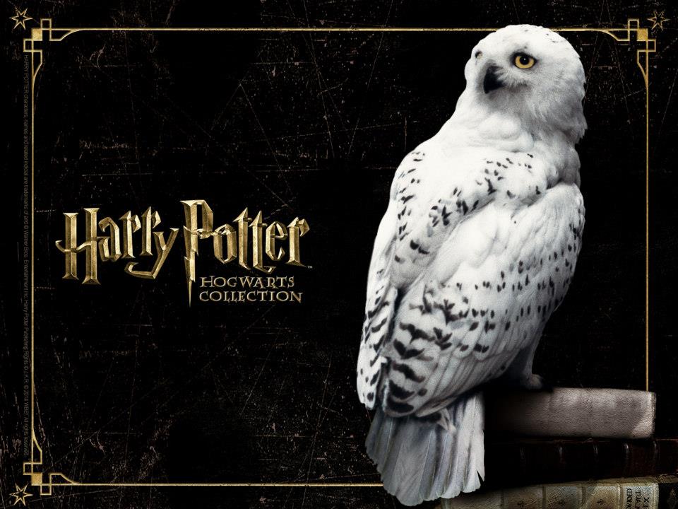 Harry Potter Hogwarts Wallpaper - WallpaperSafari