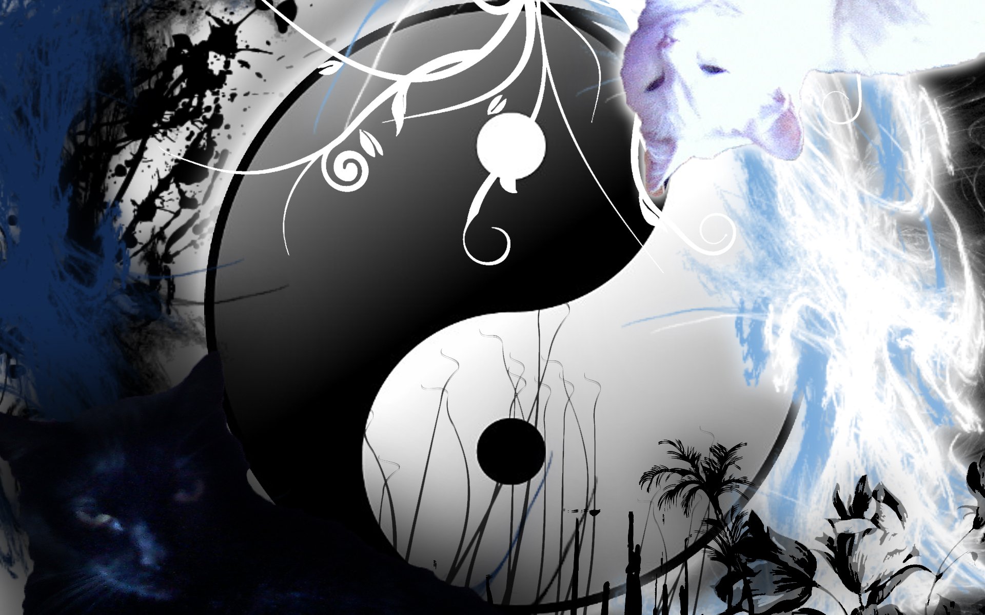 Yin Yang Wallpapers Widescreen - WallpaperSafari