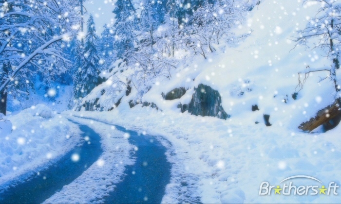 Snow Falling Wallpaper or Screensavers - WallpaperSafari