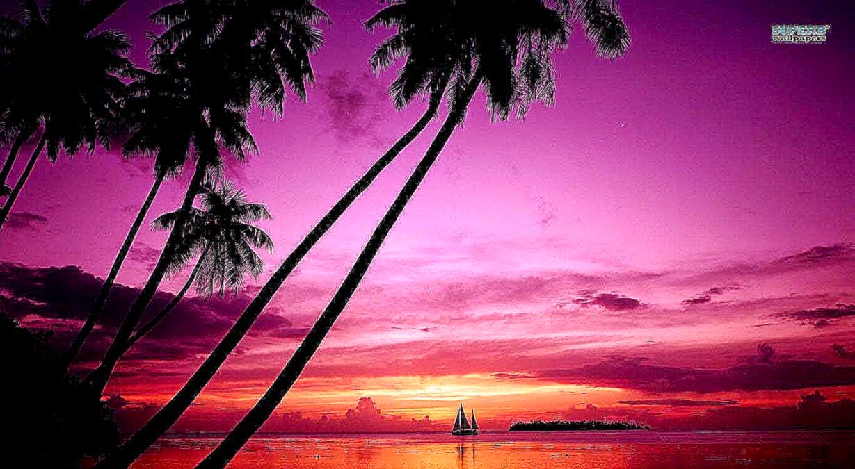 Pink Beach Sunset Wallpaper - WallpaperSafari