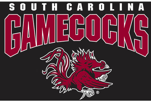 South Carolina Gamecocks Football Wallpapers - WallpaperSafari