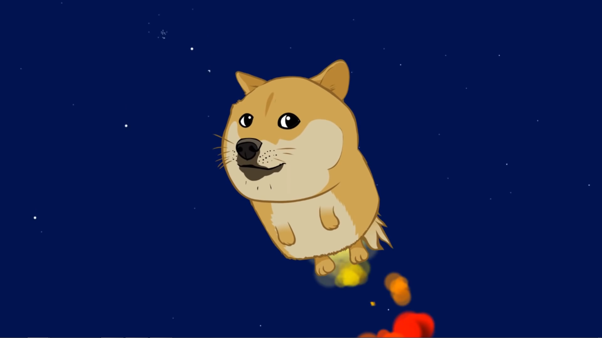 1080 X 1080 Doge High Quality Dog Wallpaper For Dog Lovers Cute