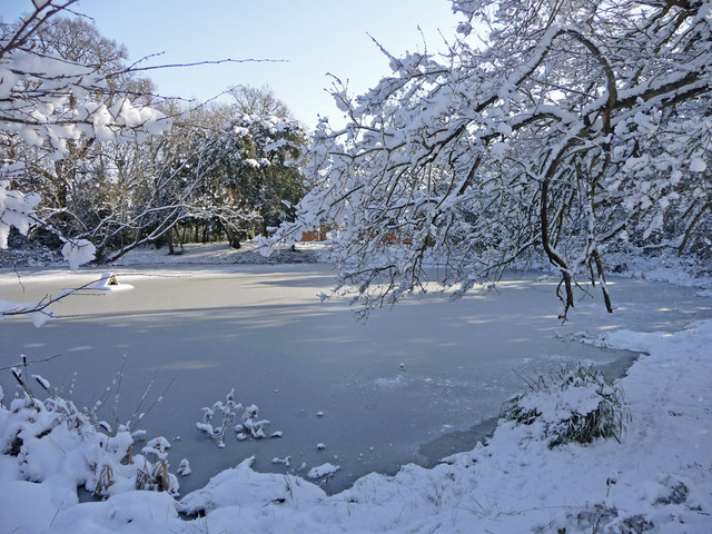 Image result for frozen pond