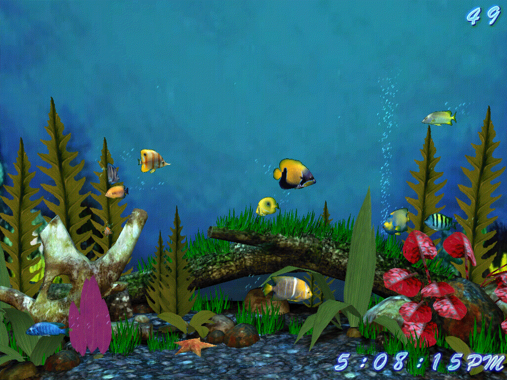 Moving Fish Tank Wallpaper - WallpaperSafari