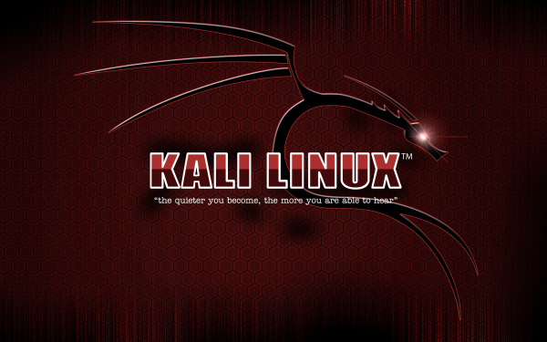 Kali Linux Wallpaper 1920x1080 - WallpaperSafari