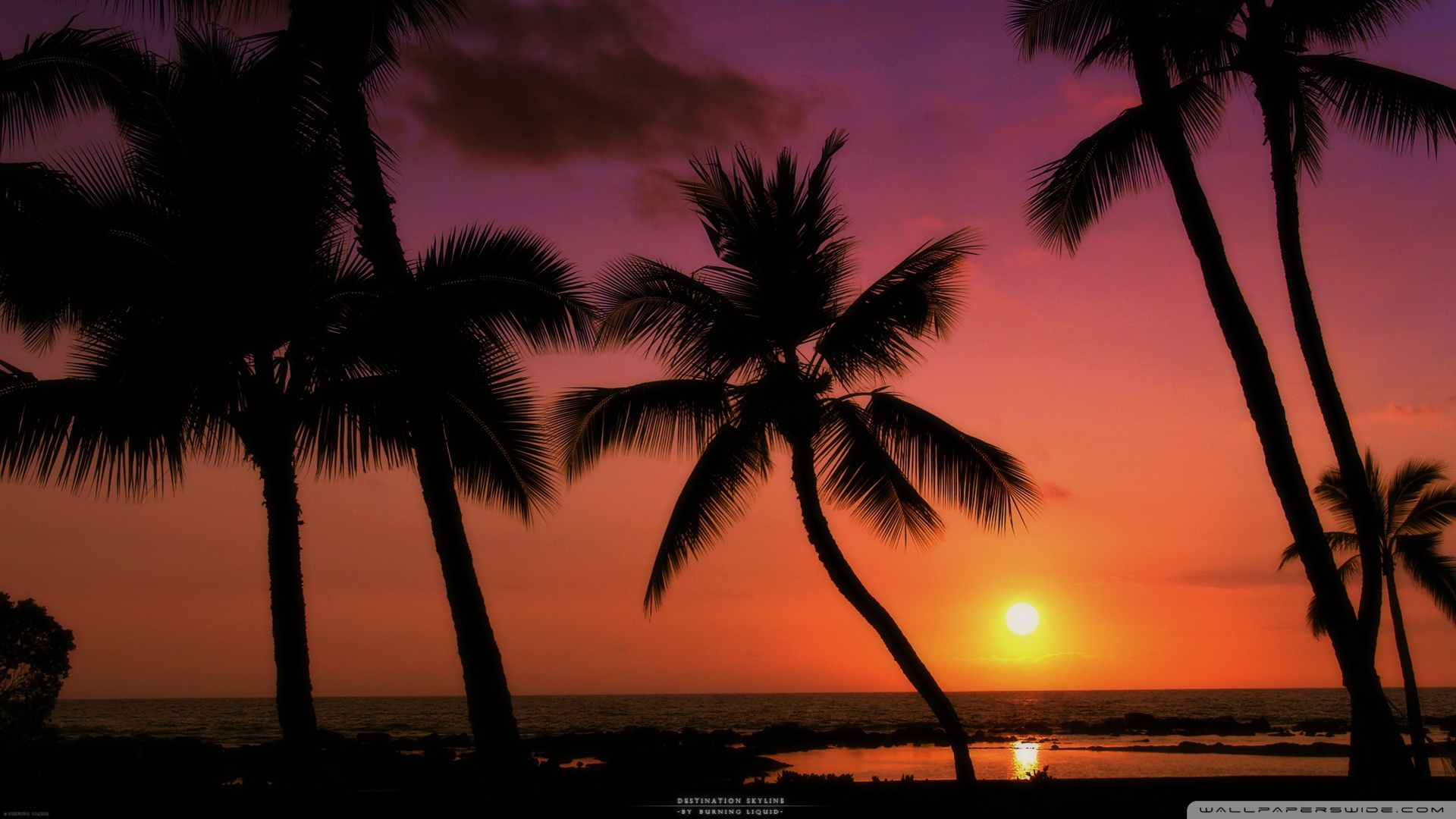 Tropical Beach Sunset Wallpaper Desktop - WallpaperSafari
