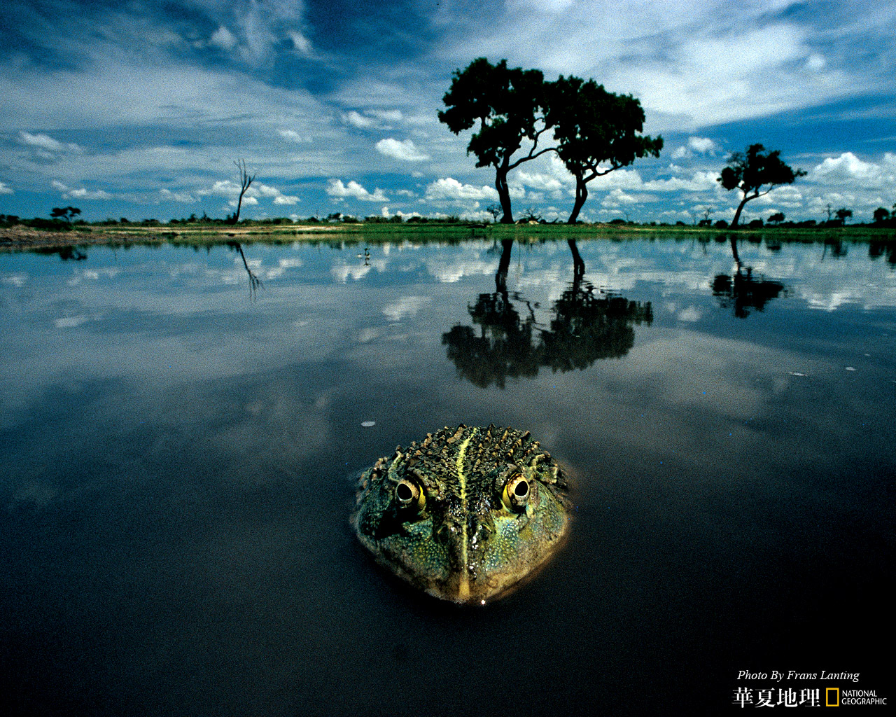 Homepage National Geographic