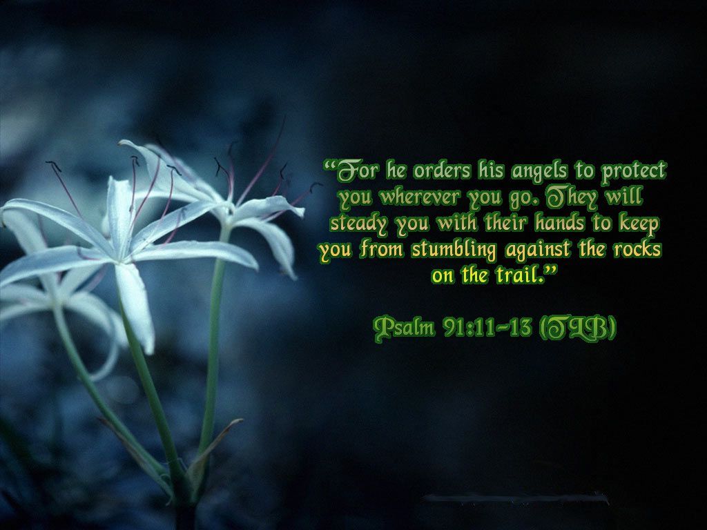 Psalm 91 Wallpaper WallpaperSafari