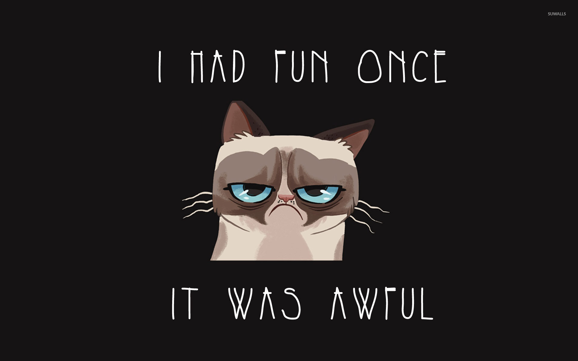 Grumpy Cat Meme Wallpaper - WallpaperSafari