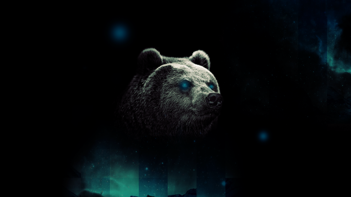 Hd Bear Wallpapers Wallpapersafari