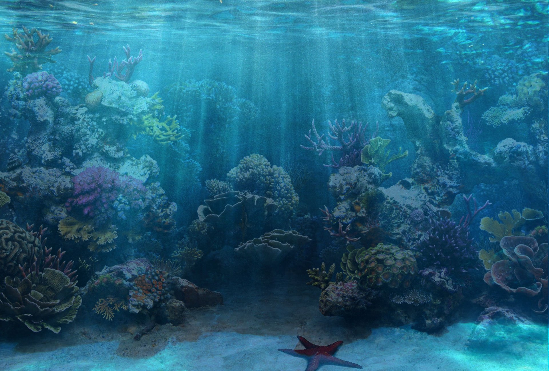 marine aquarium background