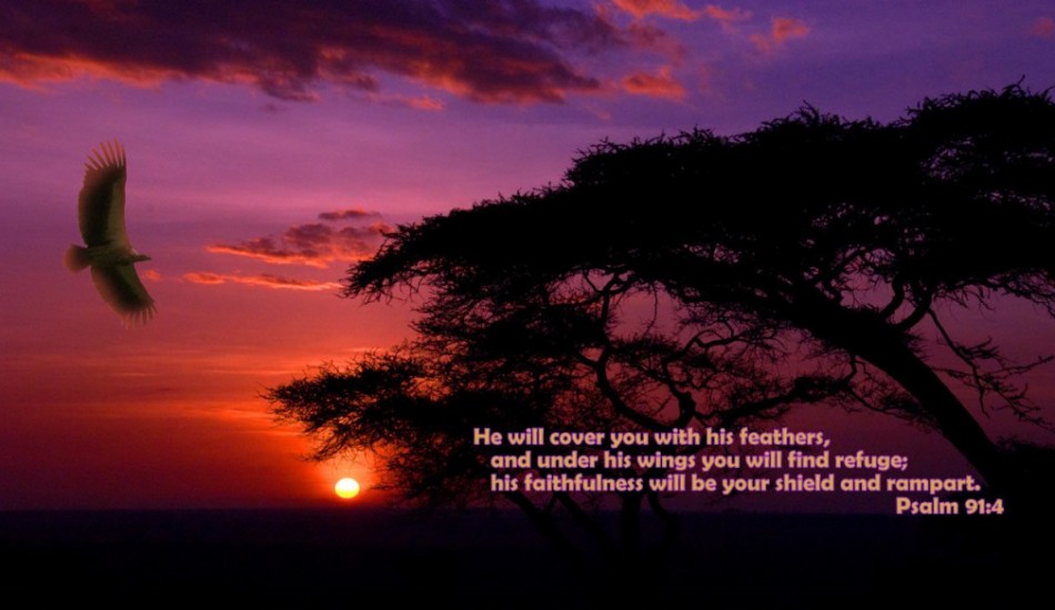 Psalm 91 Wallpaper WallpaperSafari