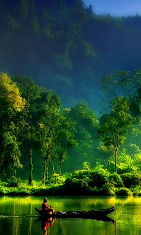 Wallpaper 480x800 - WallpaperSafari