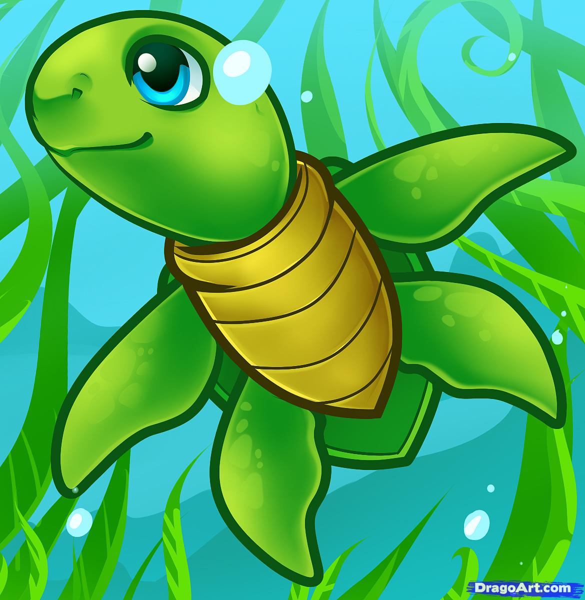 Animated Sea Turtle Wallpaper iPhone WallpaperSafari