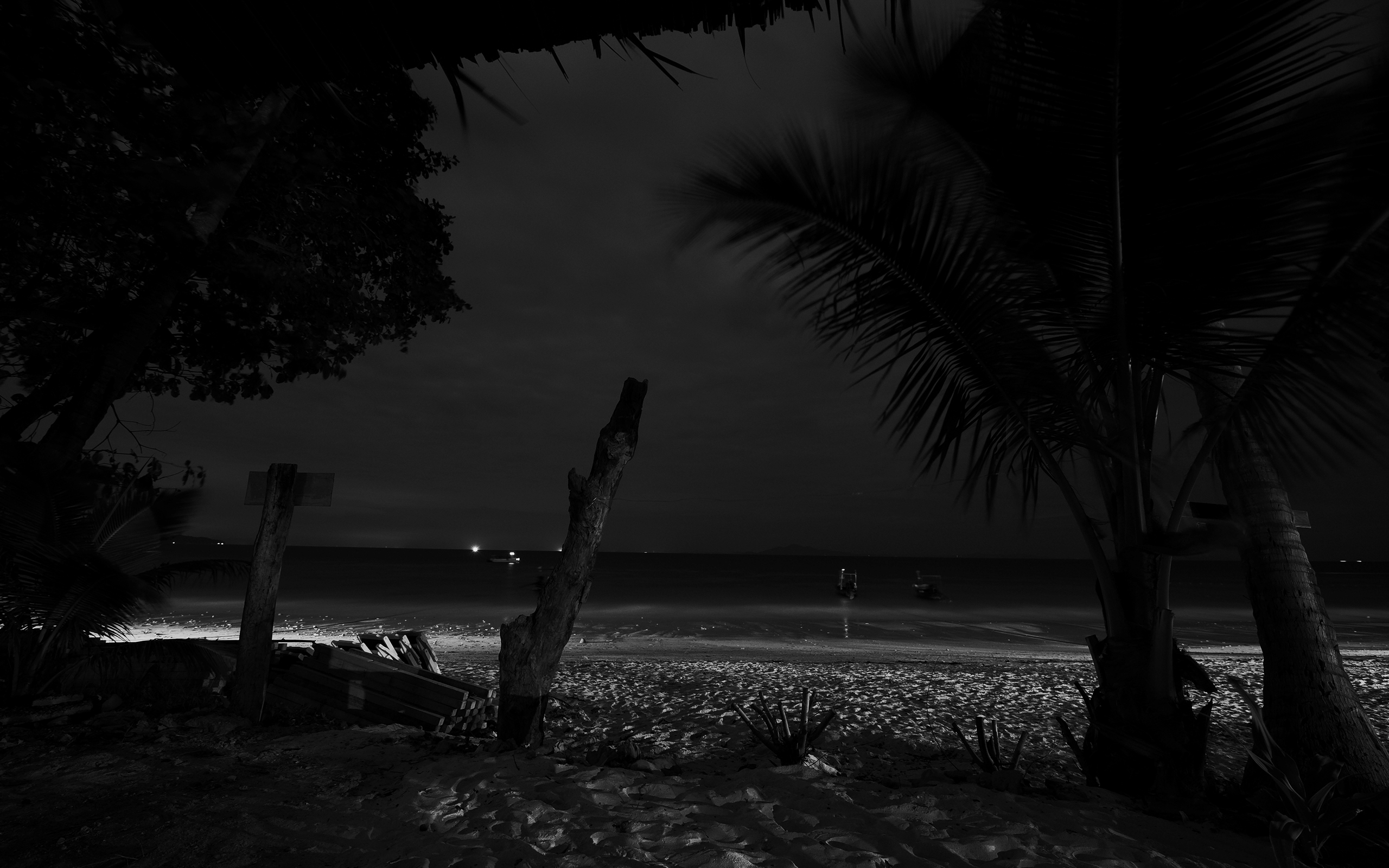 Beach Night HD Wallpapers - WallpaperSafari