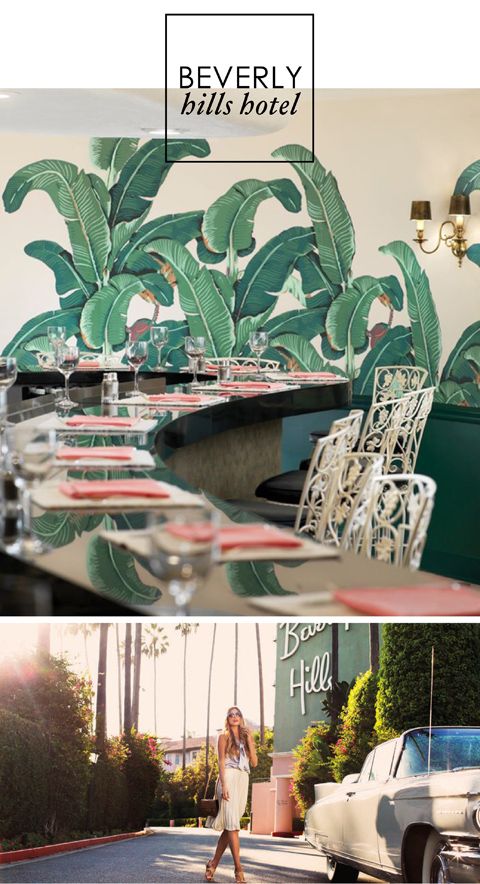 Beverly Hills Hotel Palm Wallpaper - WallpaperSafari