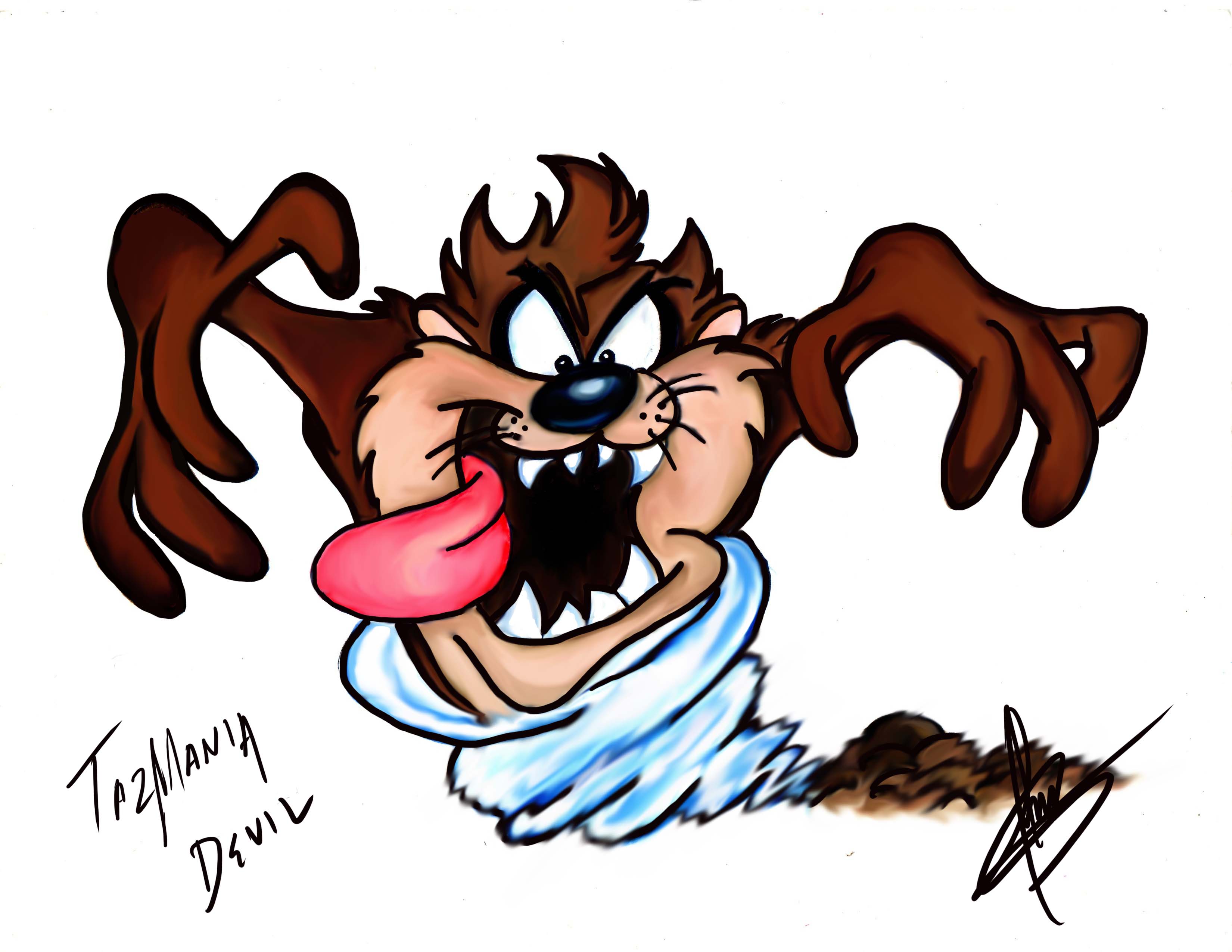 Tasmanian Devil Cartoon Wallpaper WallpaperSafari