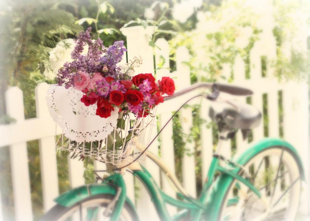 Desktop Wallpaper Bicycles and Flowers - WallpaperSafari