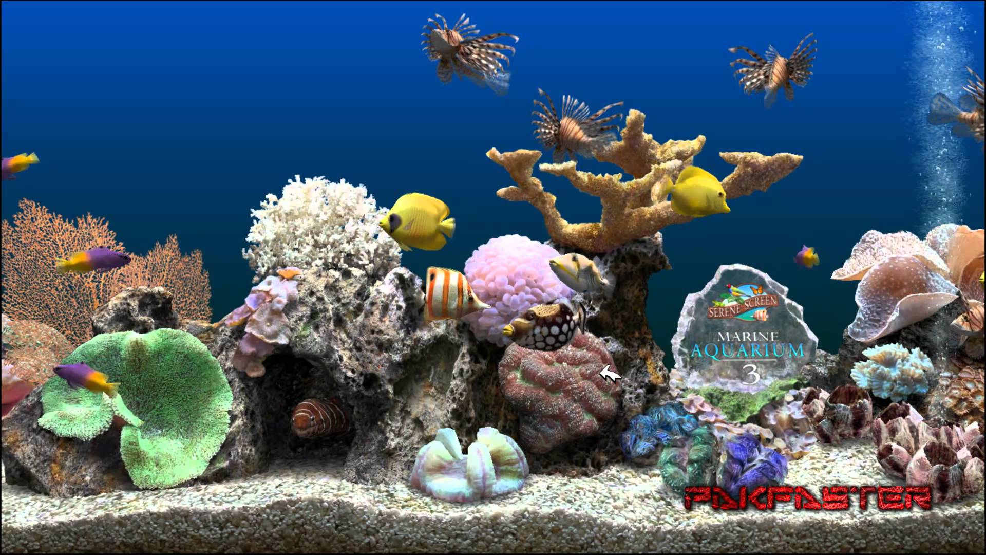 Marine aquarium time v2.6 screensaver